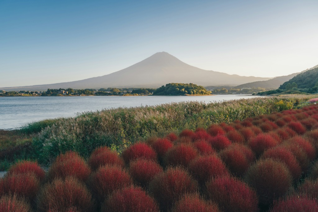 Mount Fuji & Lake Kawaguchiko
